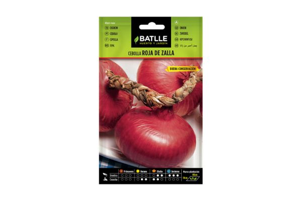 Cebolla roja Zalla Batlle