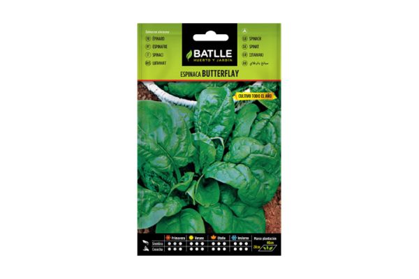 Espinaca butterflay Batlle
