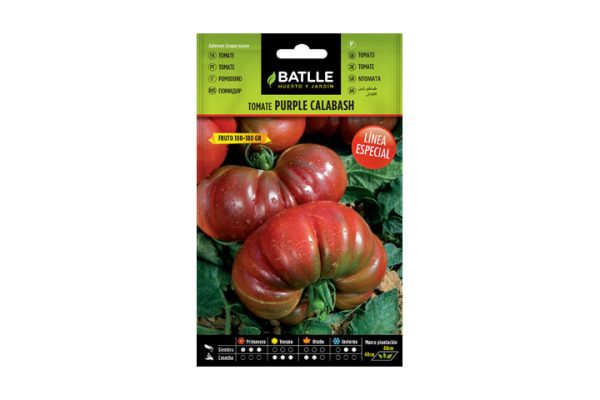 Tomate purple calabash Batlle