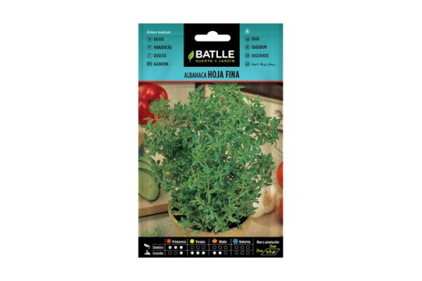 Albahaca de hoja fina Batlle