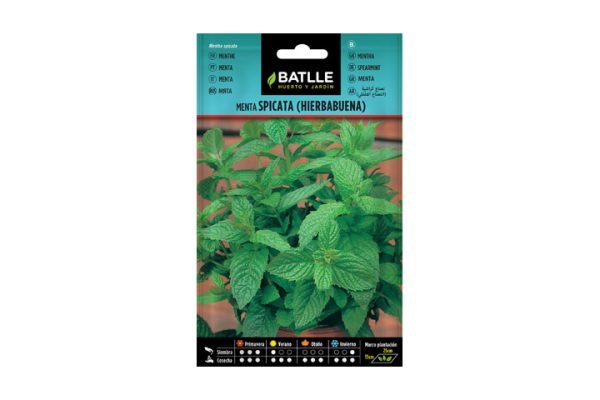 Mezcla spicata hierbabuena Batlle