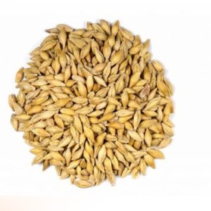Saco cebada en grano