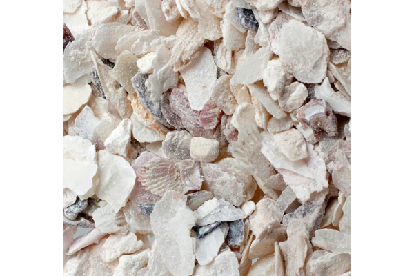 Conchilla de ostra bolsa 5kg