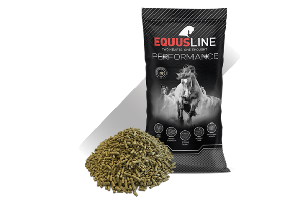 alimentación para caballos