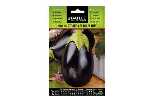 Semillas de berenjena black