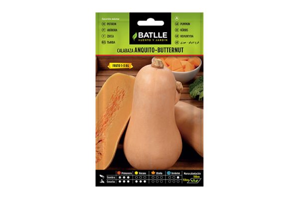 Semillas de calabaza anquito buttermut