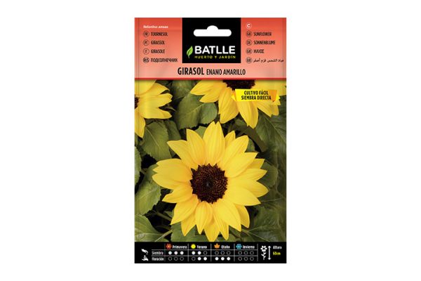 Semillas Batlle. Girasol enano amarillo