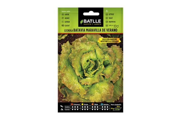 Semillas Batlle. Lechuga Maravilla. Tienda Cereales Ferrer