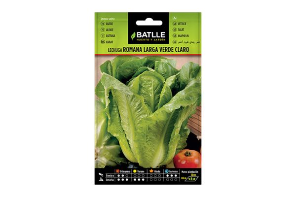 Semillas Batlle. Lechuga romana larga. Tienda Cereales Ferrer